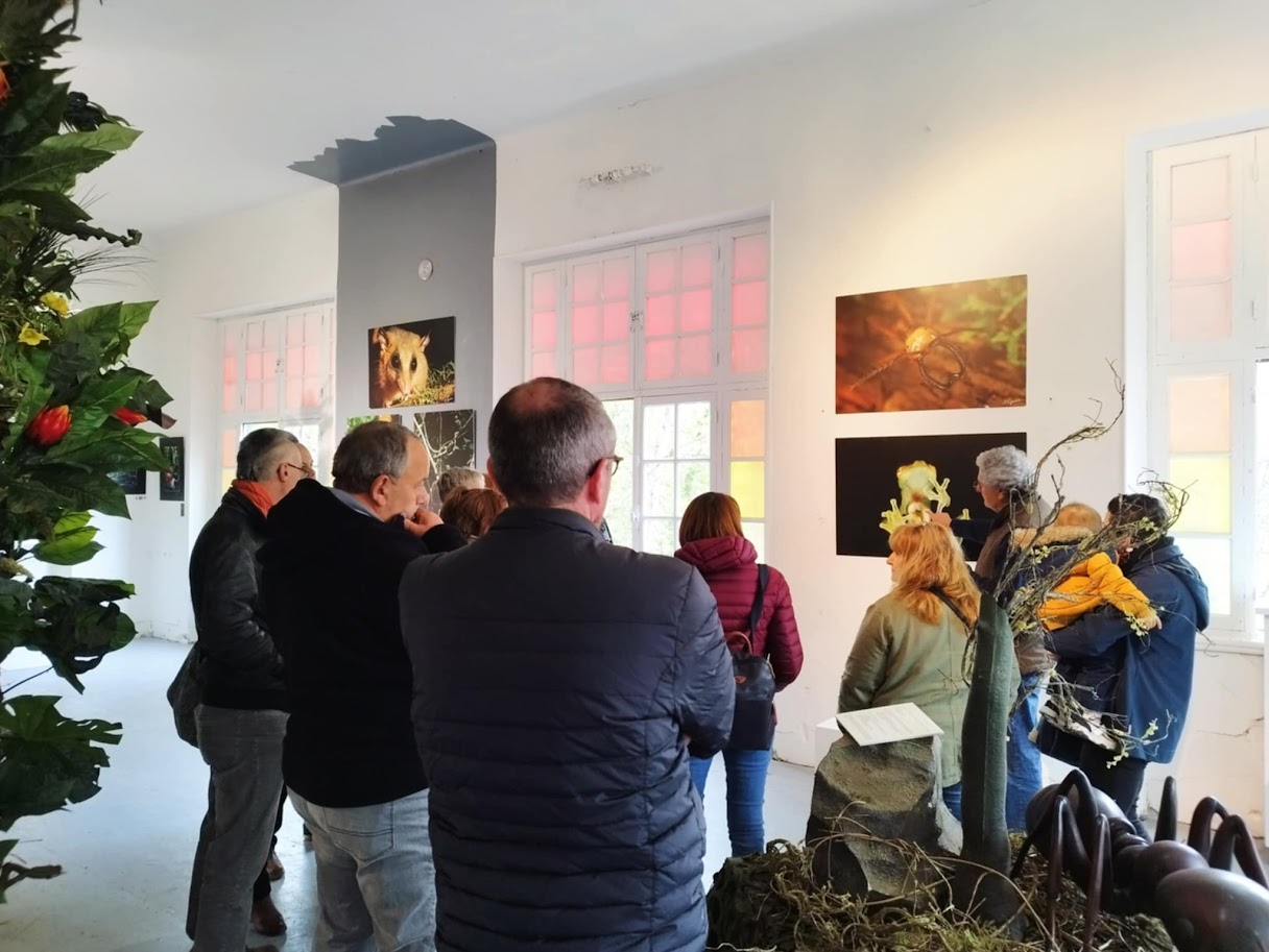 Salles d’exposition
