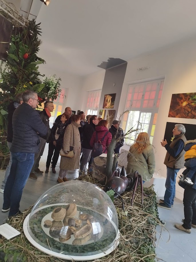 Salles d’exposition