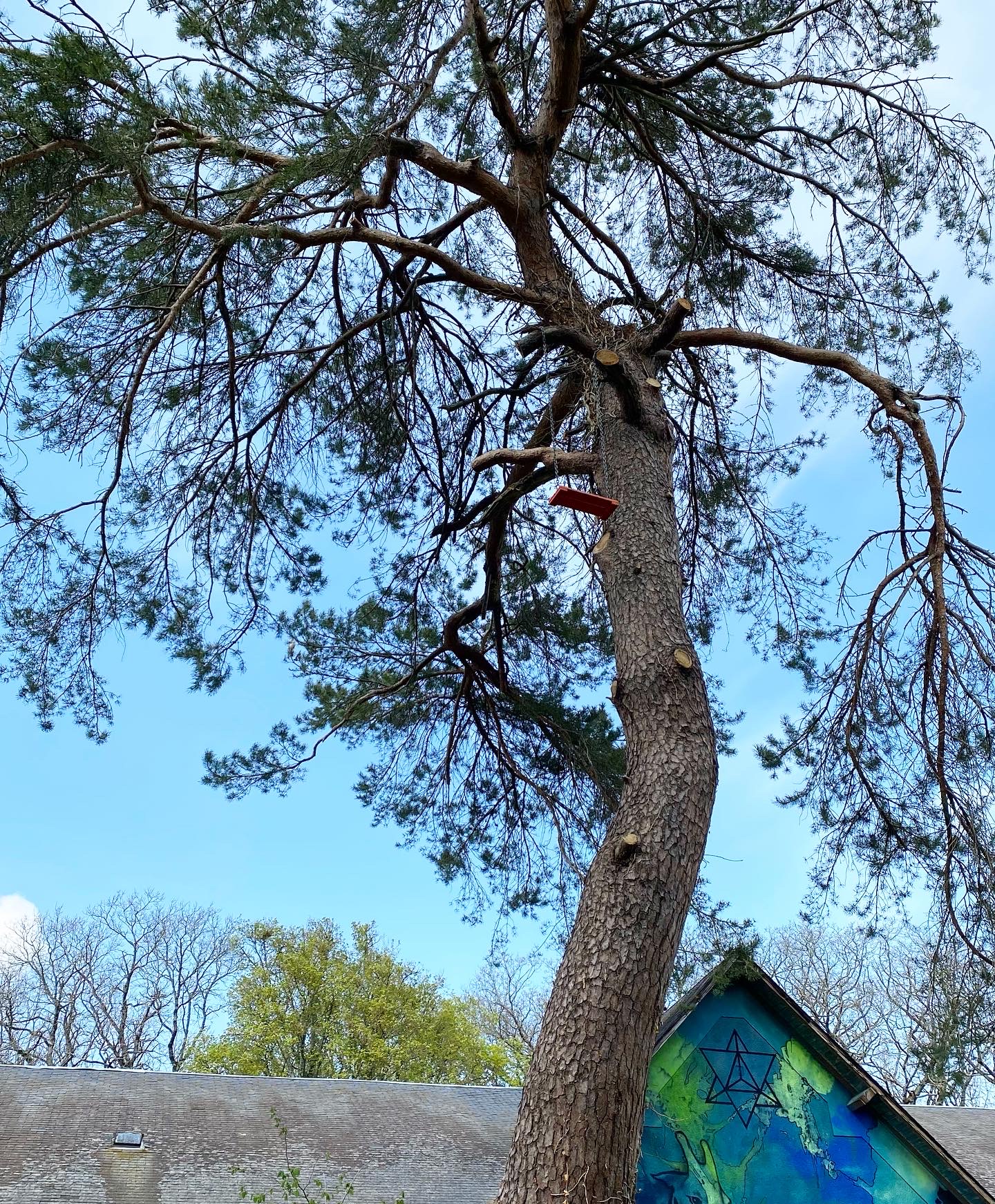 Jardin surréaliste