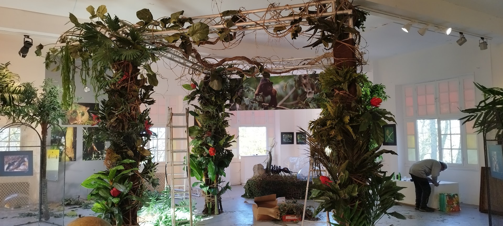 Décor, scène & objets spéciaux